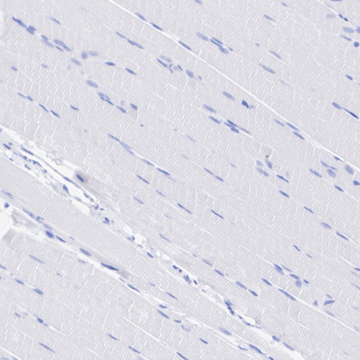 HA751920_10.jpg