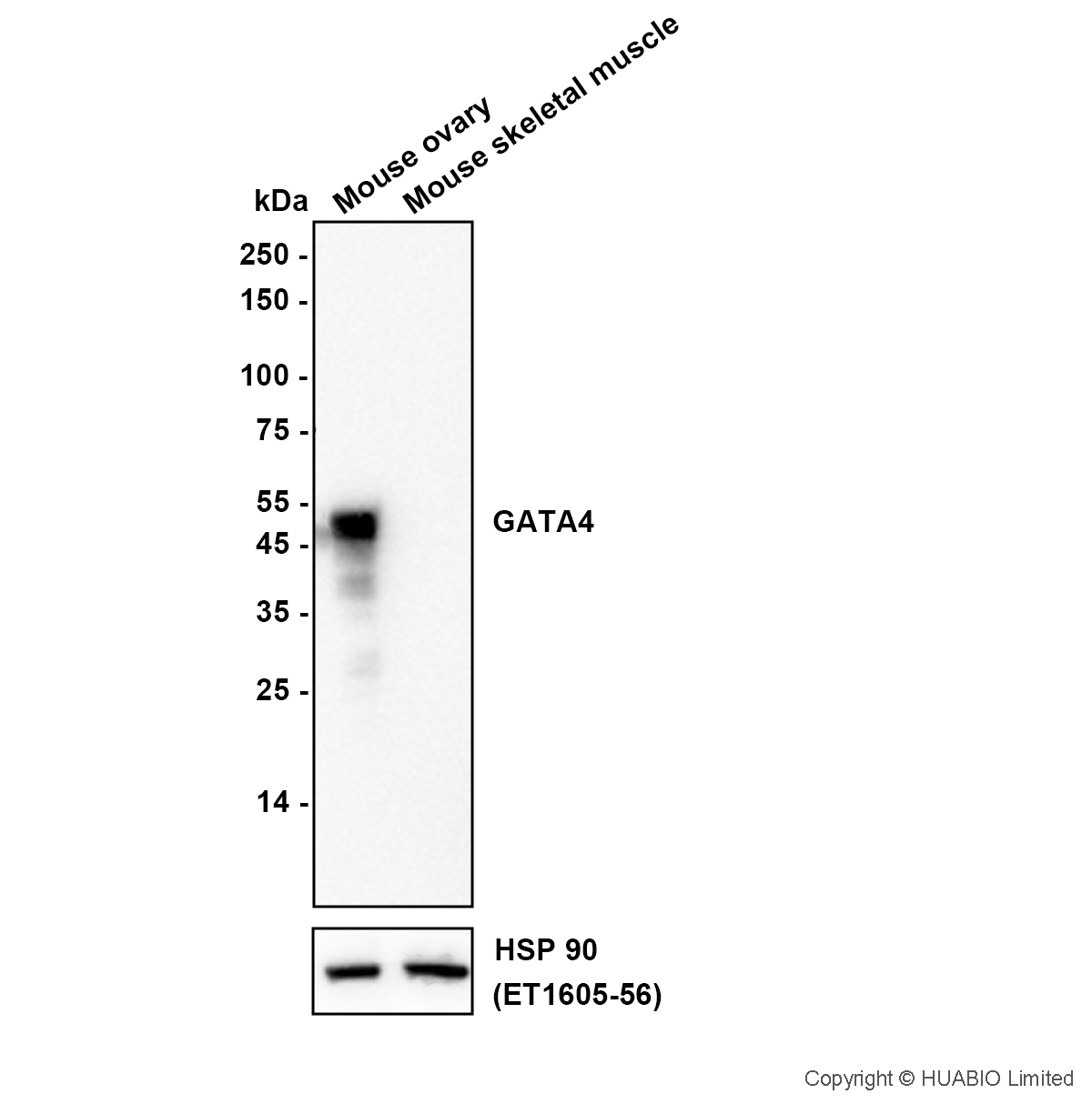 HA751920_2.jpg