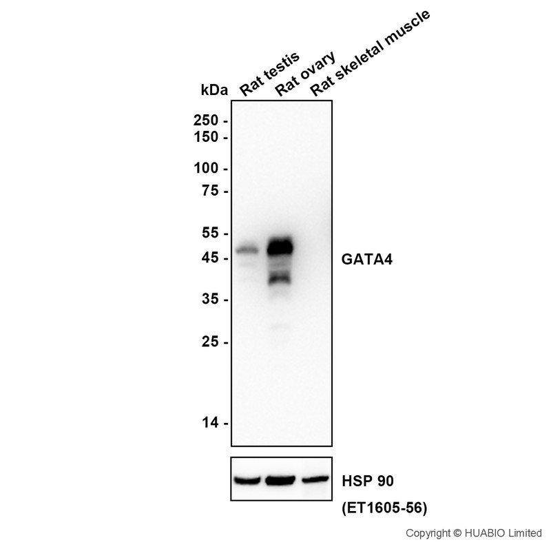 HA751920_3.jpg