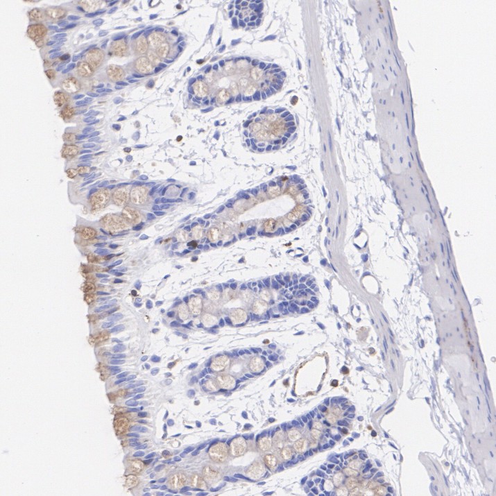 HA751925_10.jpg