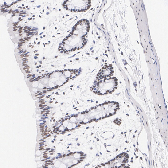 HA751928_7.jpg
