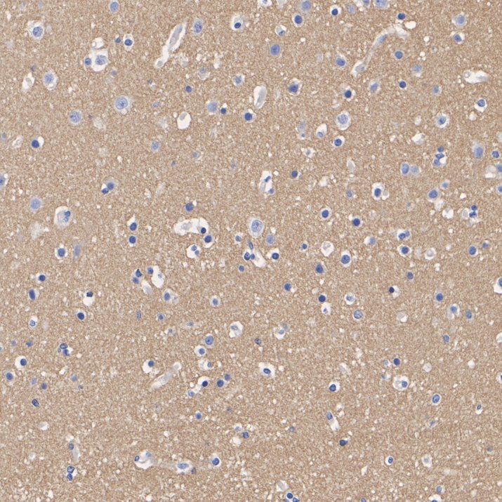 HA751939_7.jpg