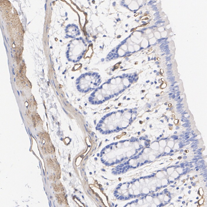 HA751942_5.jpg