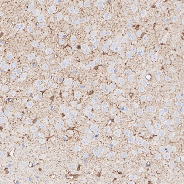 HA752002_4.jpg