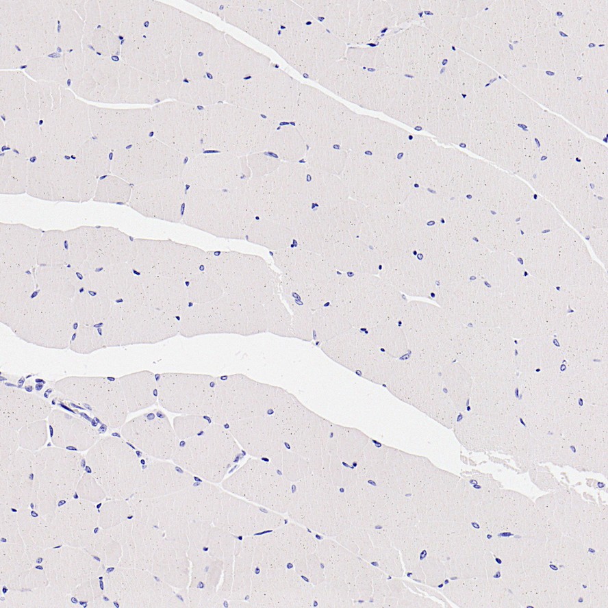 HA752036_5.jpg