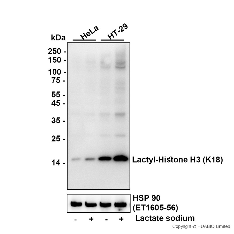 HA752044_1.jpg