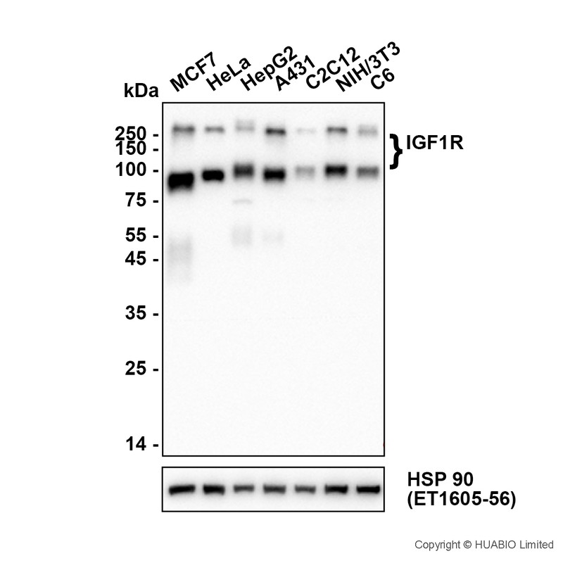 HA752046_1.jpg