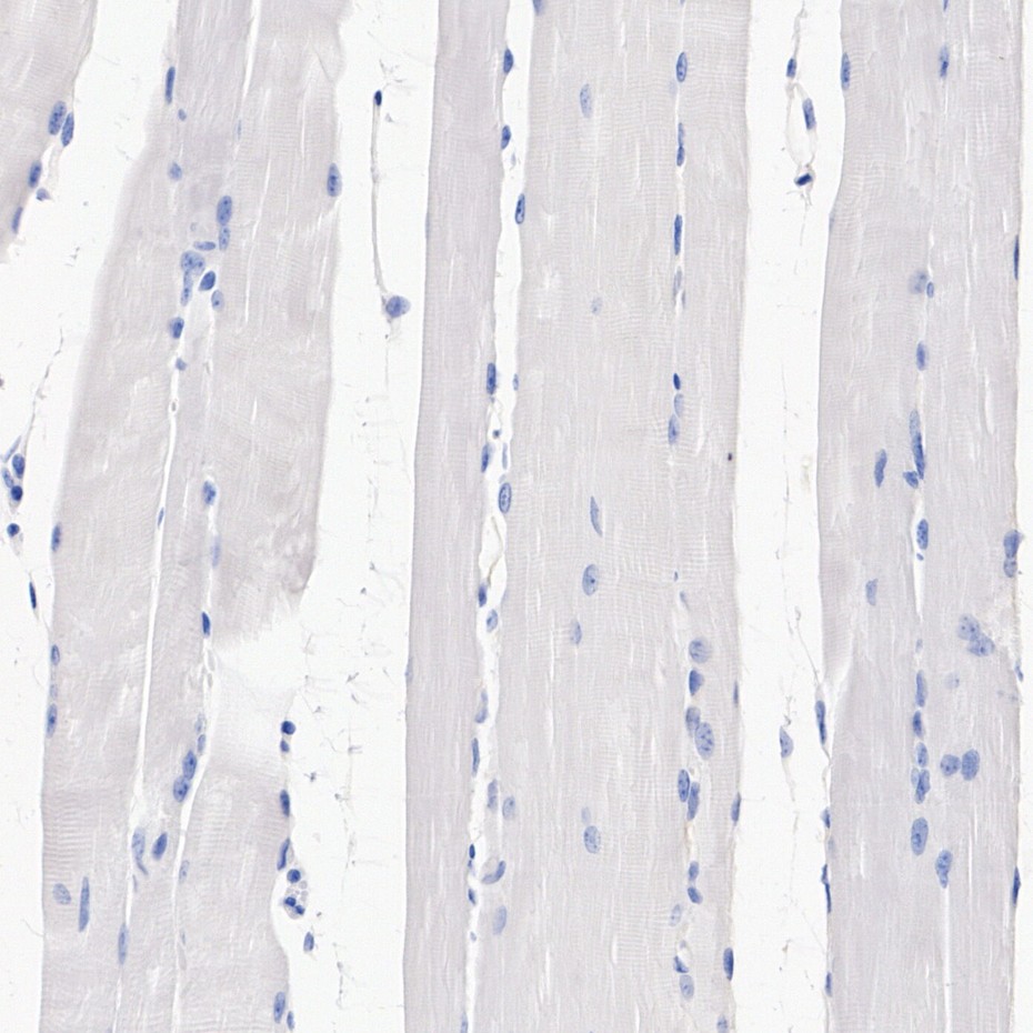 HA752046_11.jpg