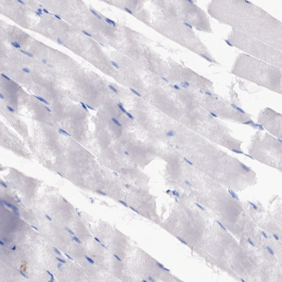 HA752046_15.jpg