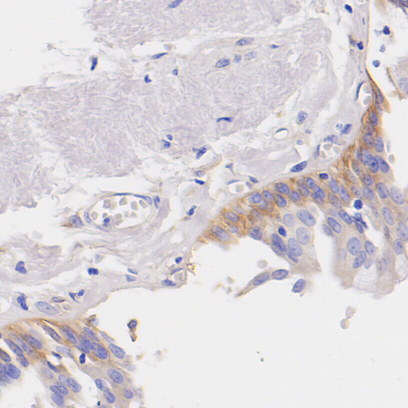 HA752046_4.jpg