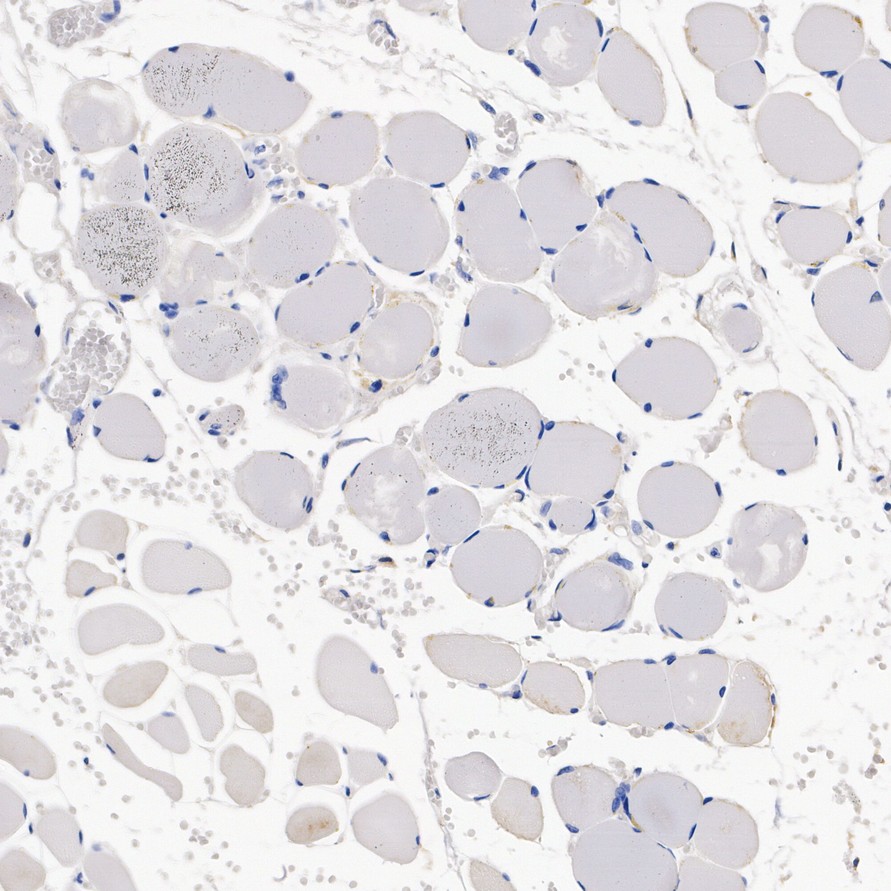HA752046_7.jpg