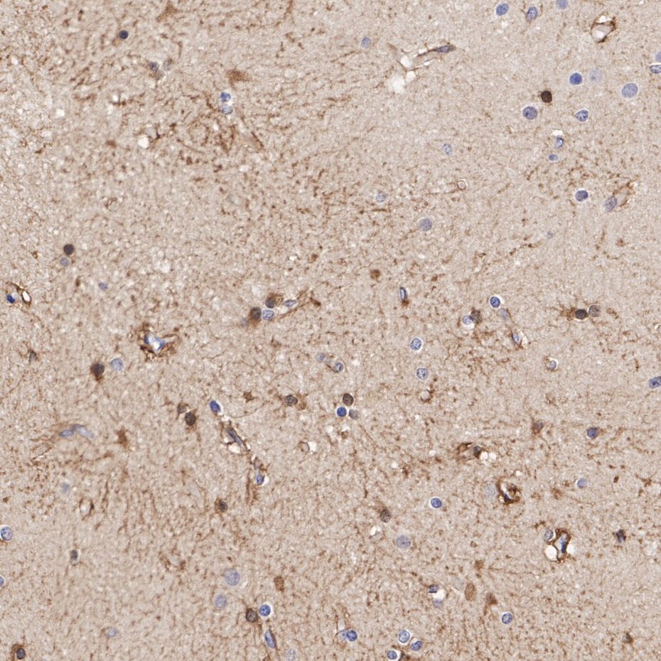 HA752054_13.jpg