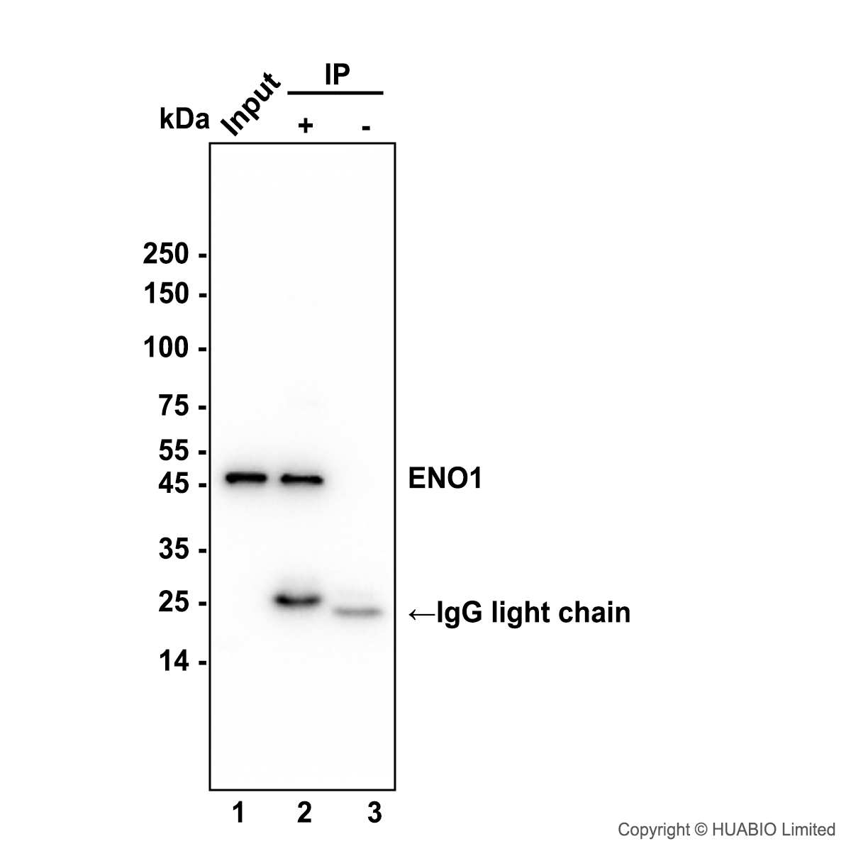 HA752054_23.JPG