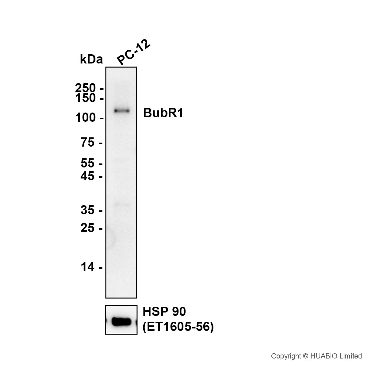 HA752067_2.JPG