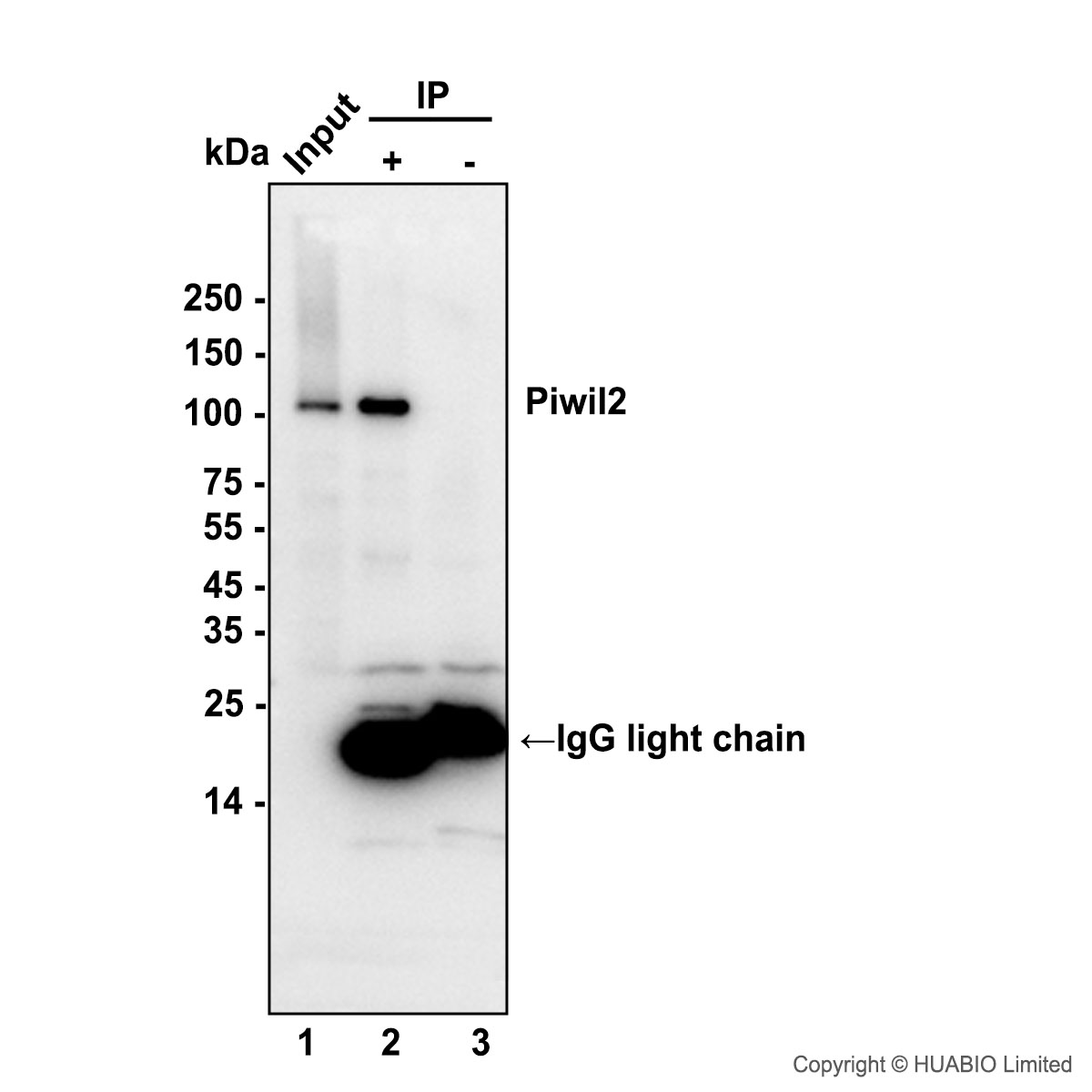 HA752069_8.jpg