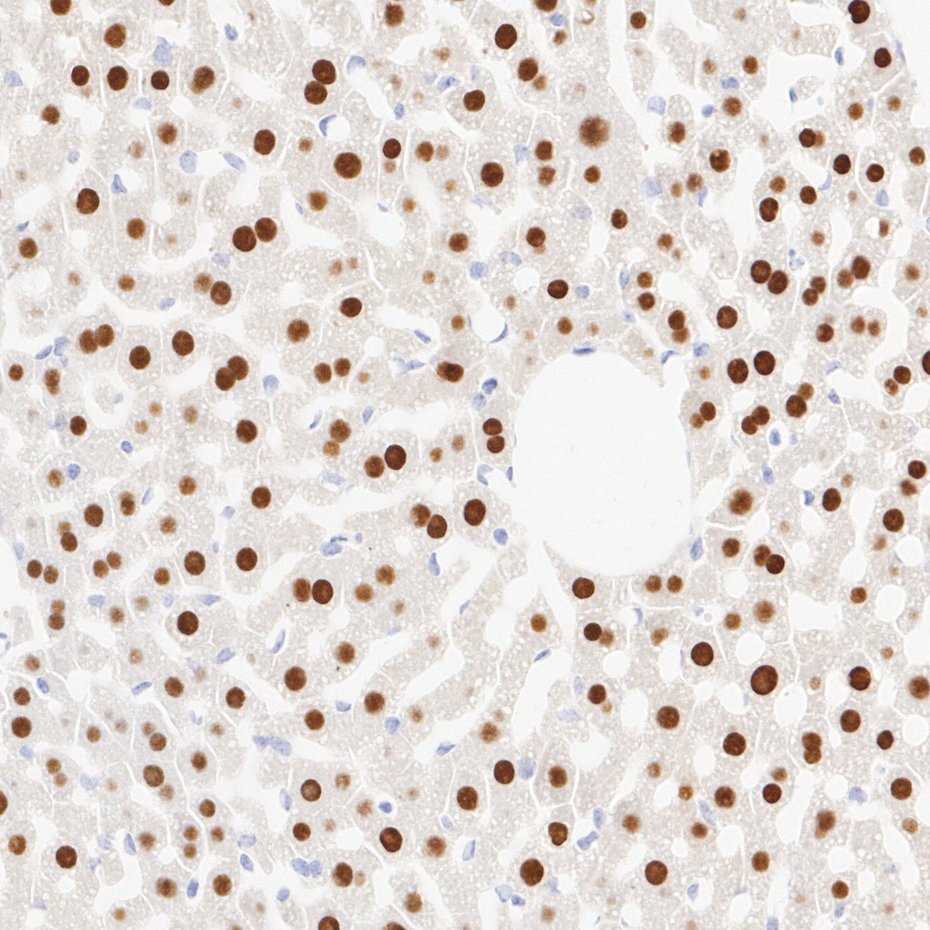 HA752094_3.jpg