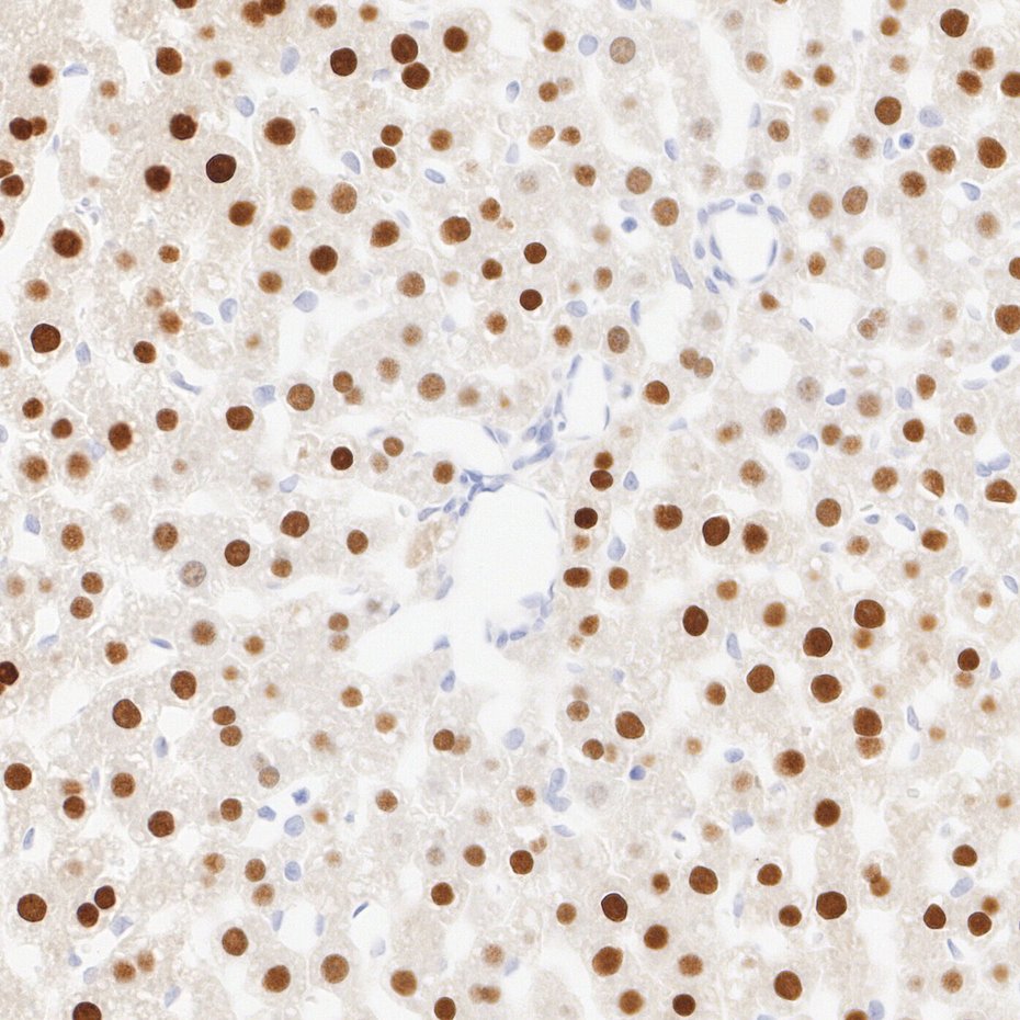 HA752094_5.jpg