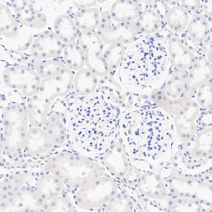 HA752094_6.jpg