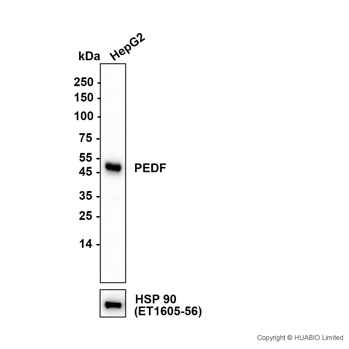 HA752117_2.jpg