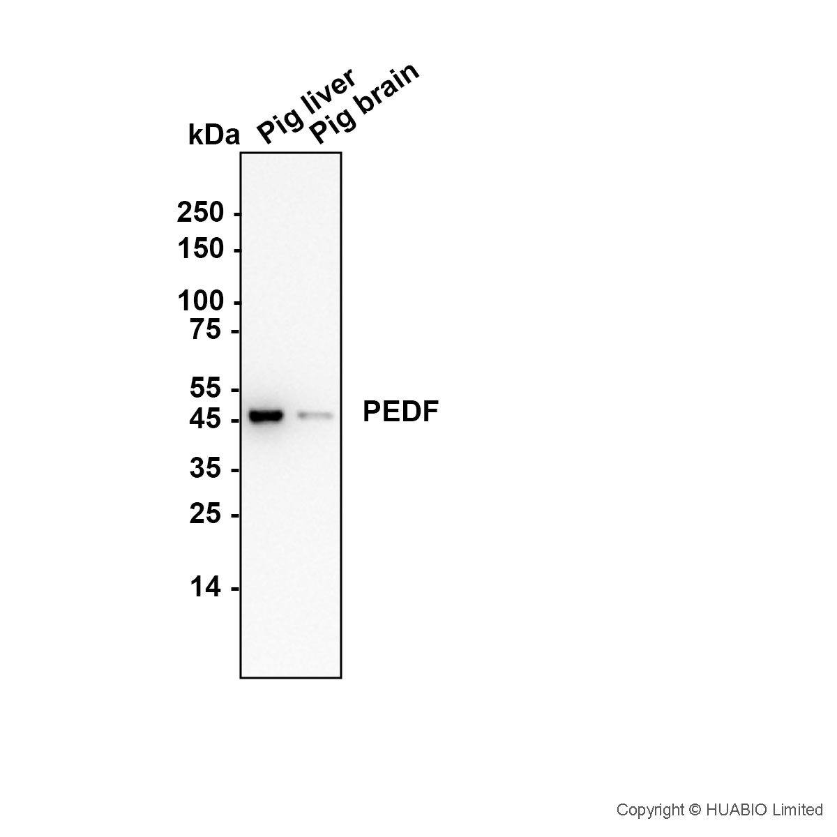 HA752117_6.jpg