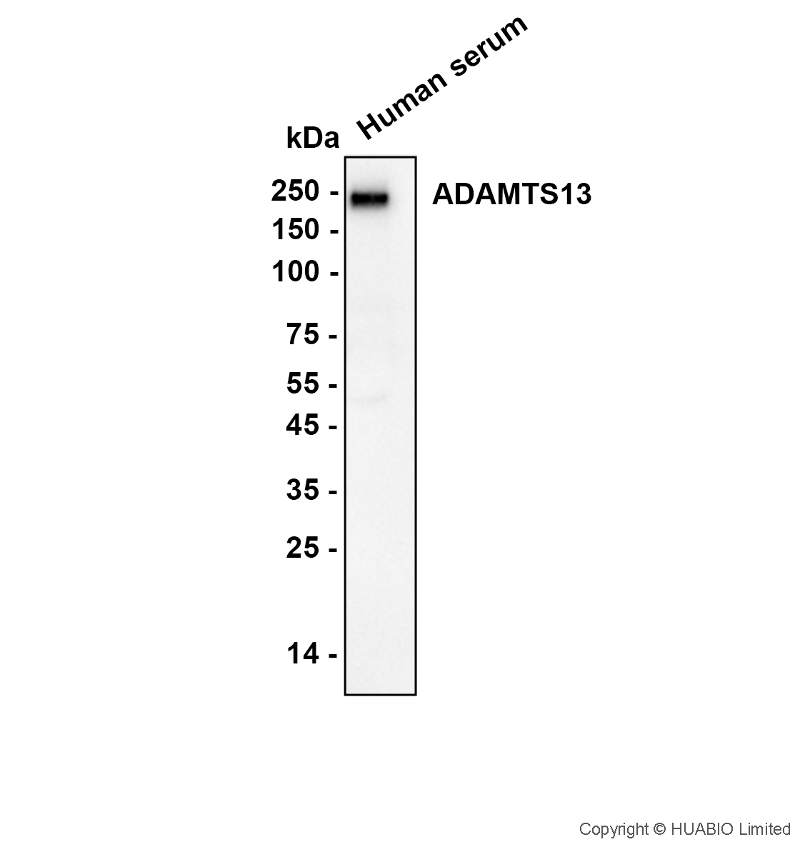 HA752134_1.jpg