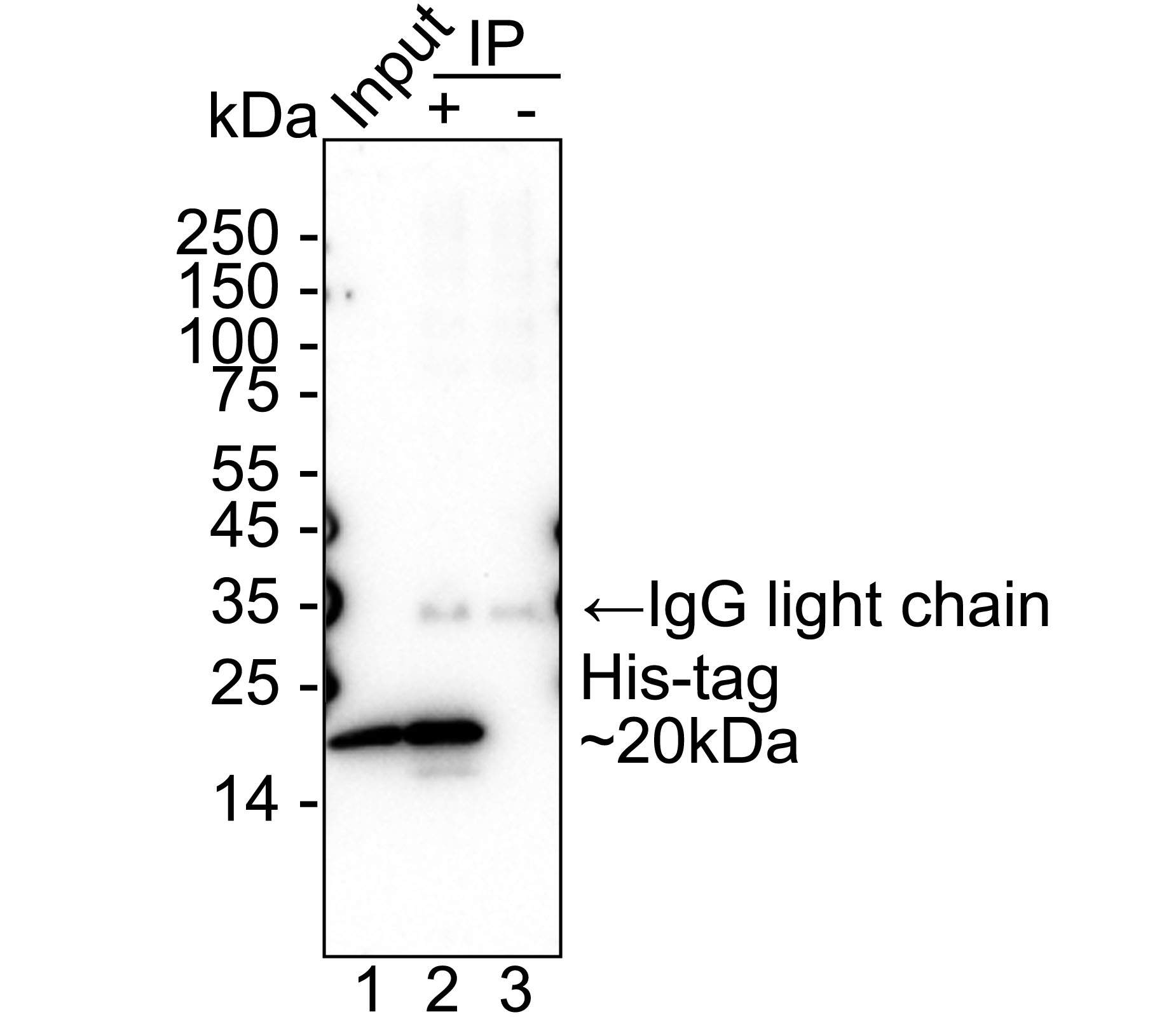 HAK21016_10.jpg