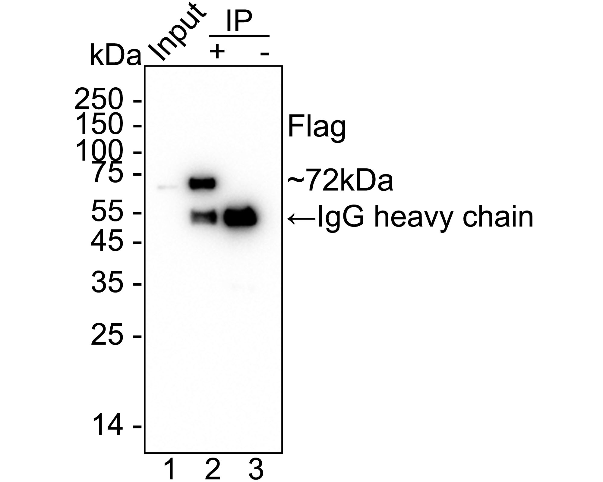 HAK21016_15.jpg