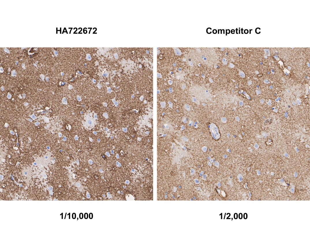 HAK21083_2.jpg