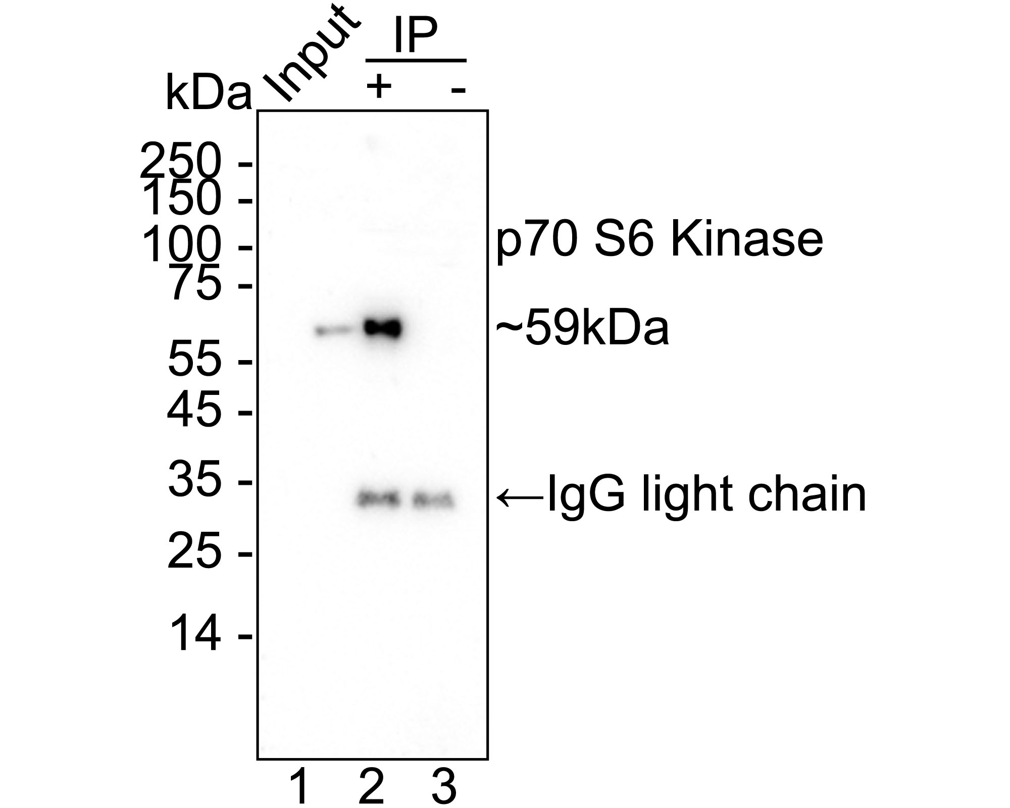 HAK21128_12.jpg