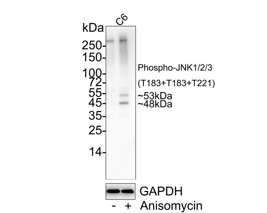 HAK21128_4.jpg