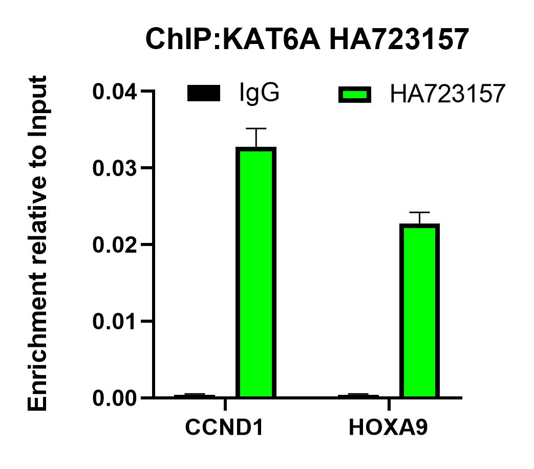 HAK21134_4.jpg