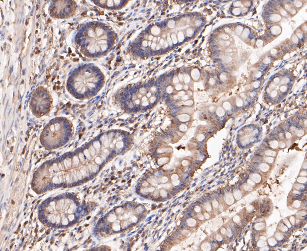 HAK21135_8.jpg