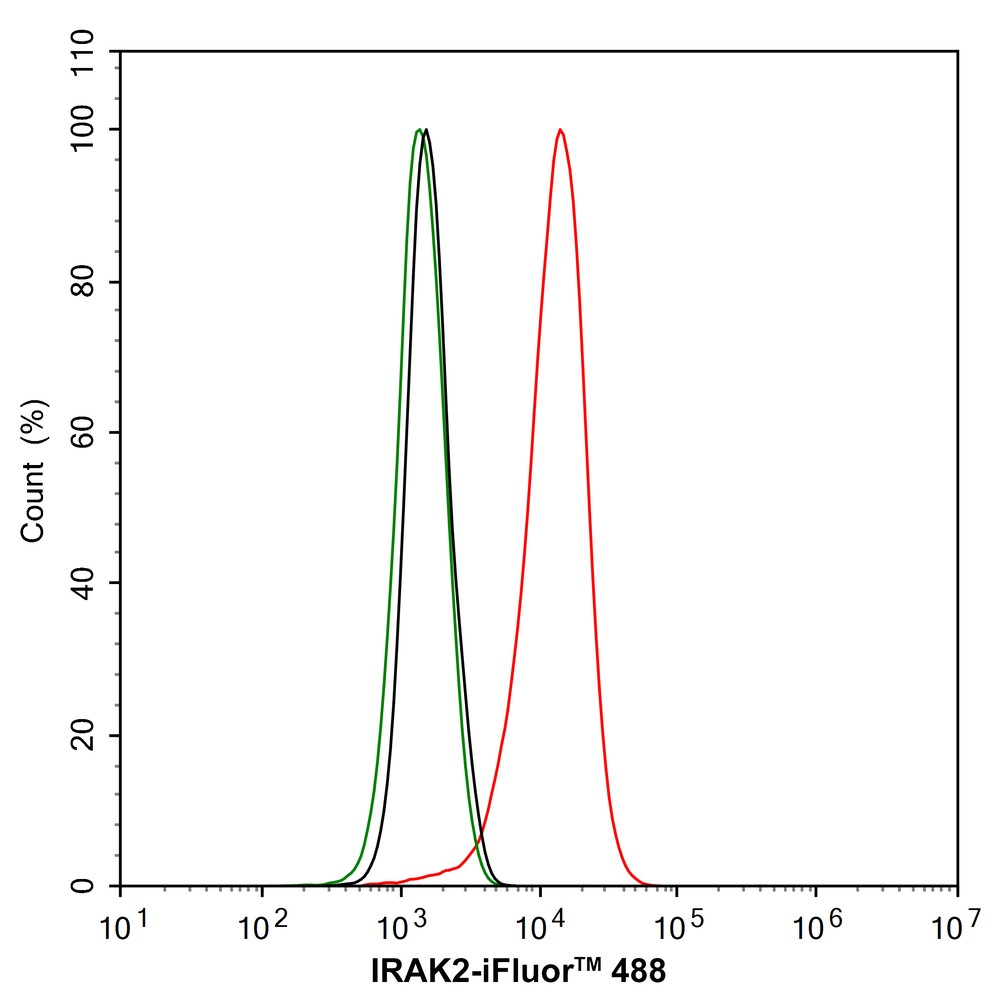 HAK21147_9.jpg
