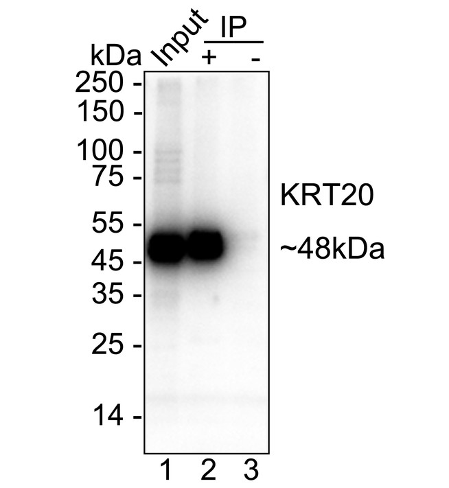 HAK21150_19.jpg