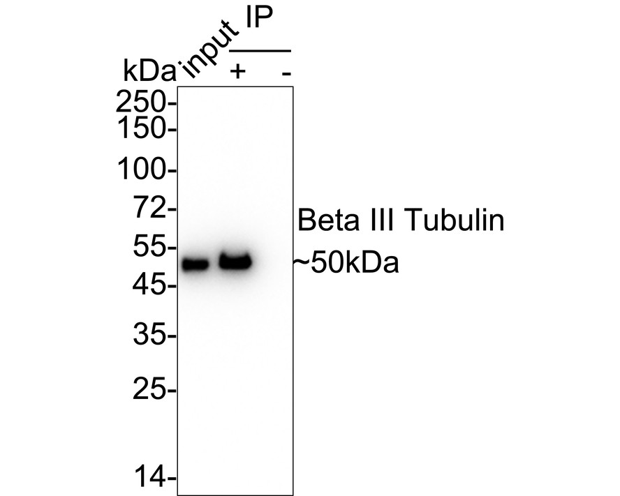 HAK21165_9.jpg