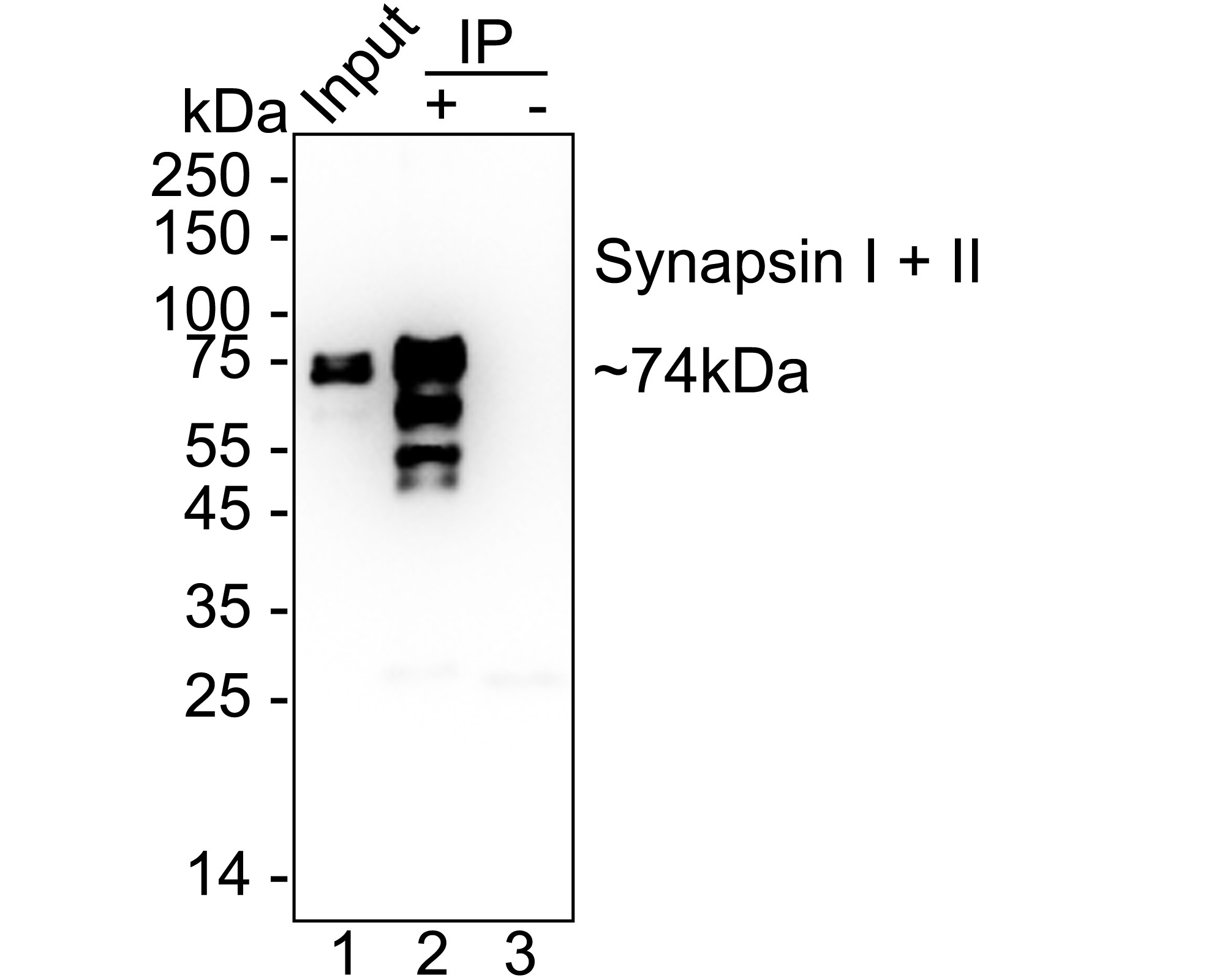 HAK21178_7.jpg