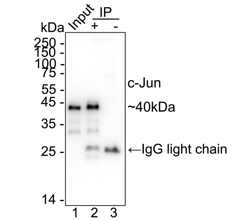 HAK21180_12.jpg