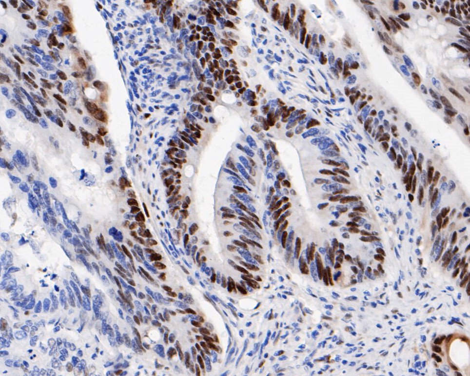 HAK21180_5.jpg