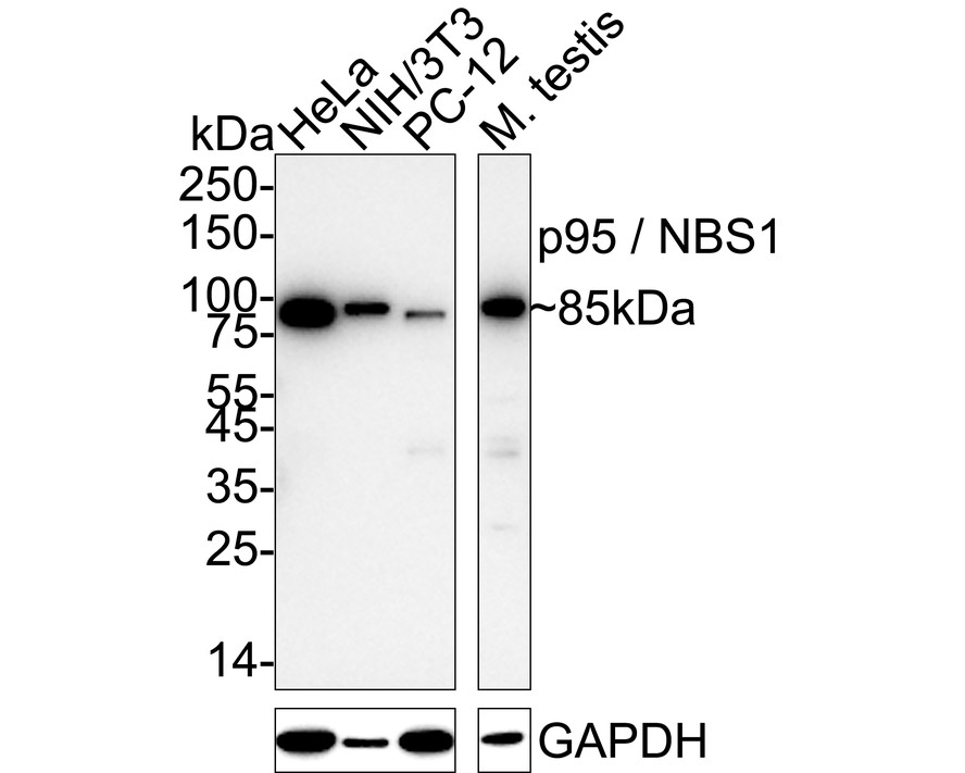 HAK21187_10.jpg
