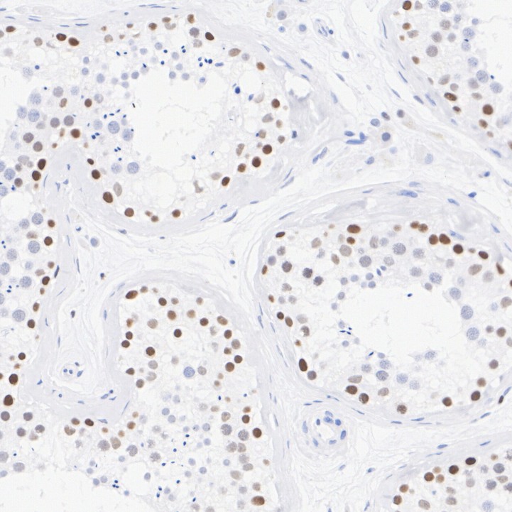 HAK21187_3.jpg