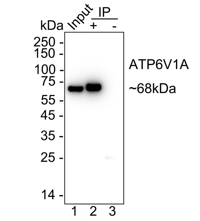 HAK21188_18.jpg