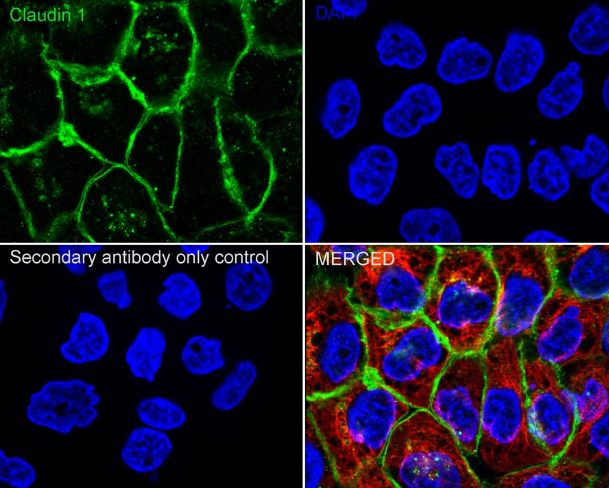 HAK21200_9.jpg