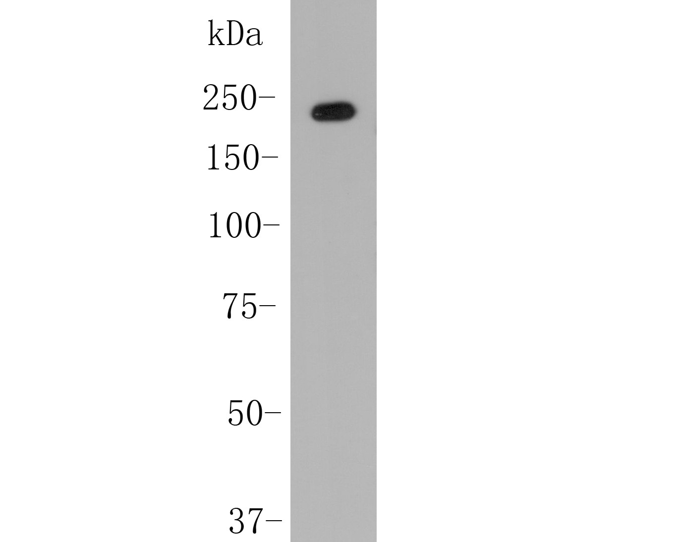 M0910-4_1.jpg
