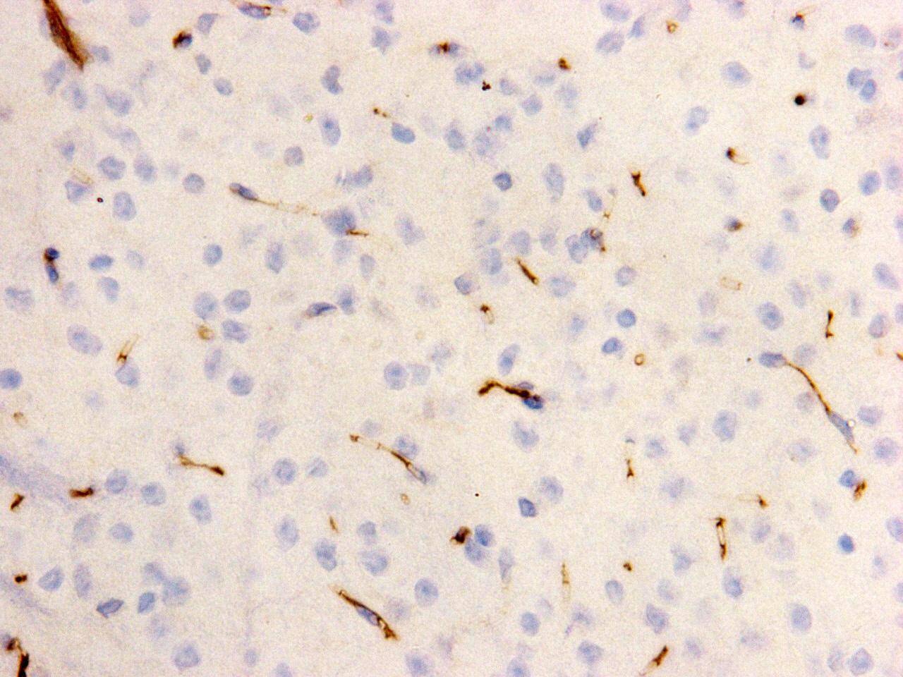 M0910-4_4.jpg