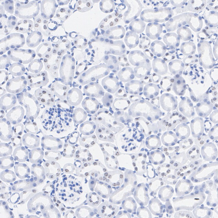M1311-2_3.jpg