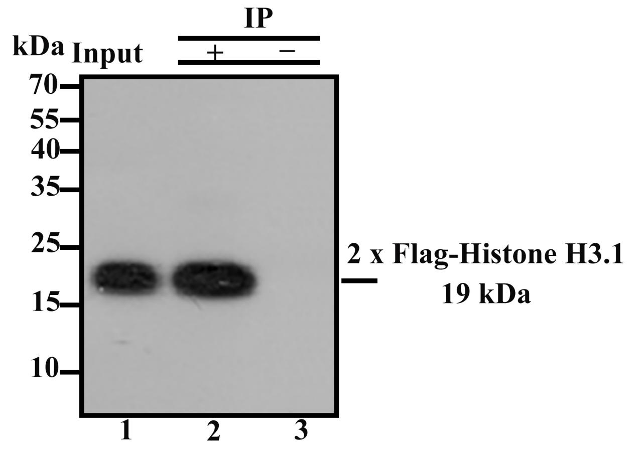 M1403-2_3.jpg