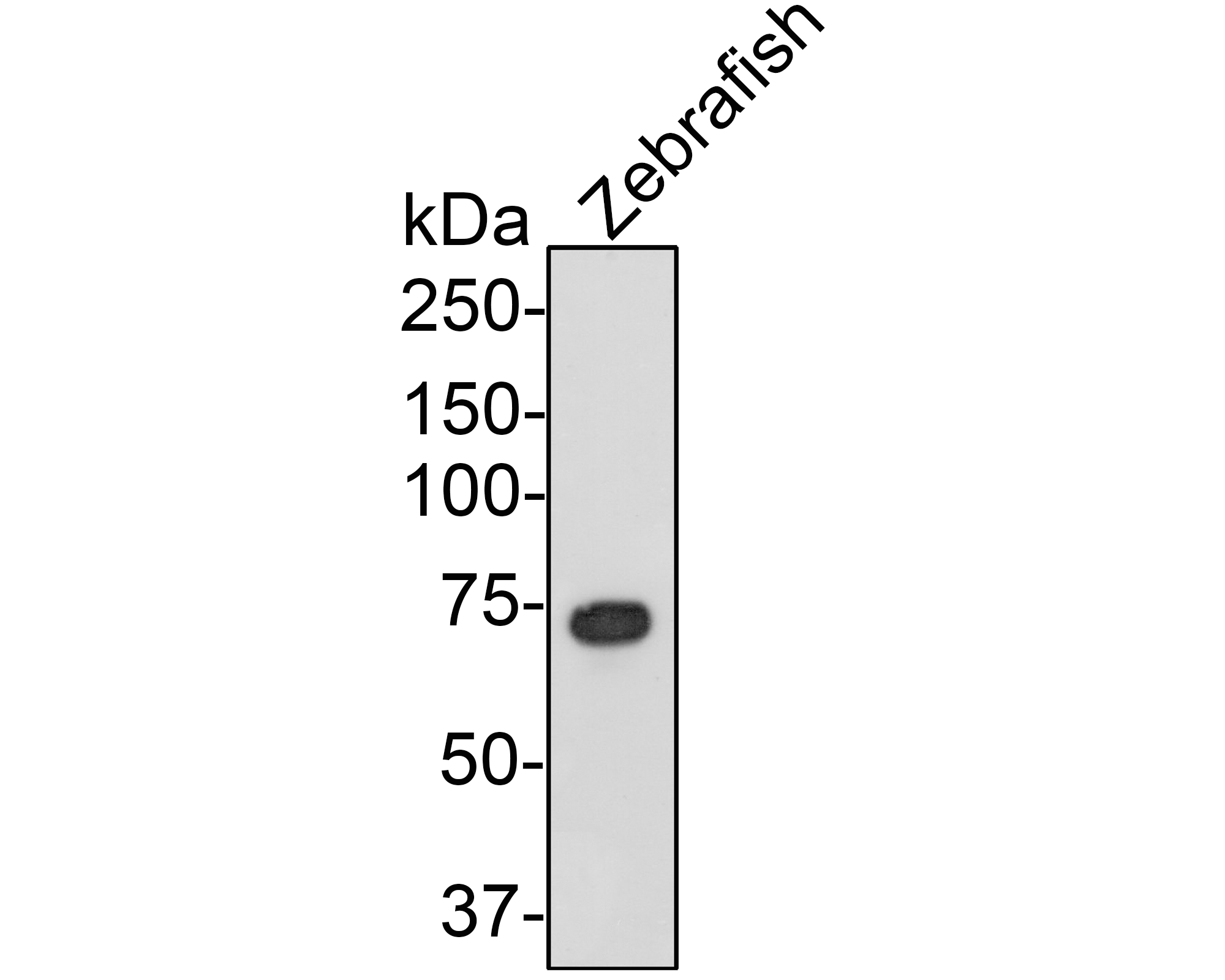 M1505-11_2.png