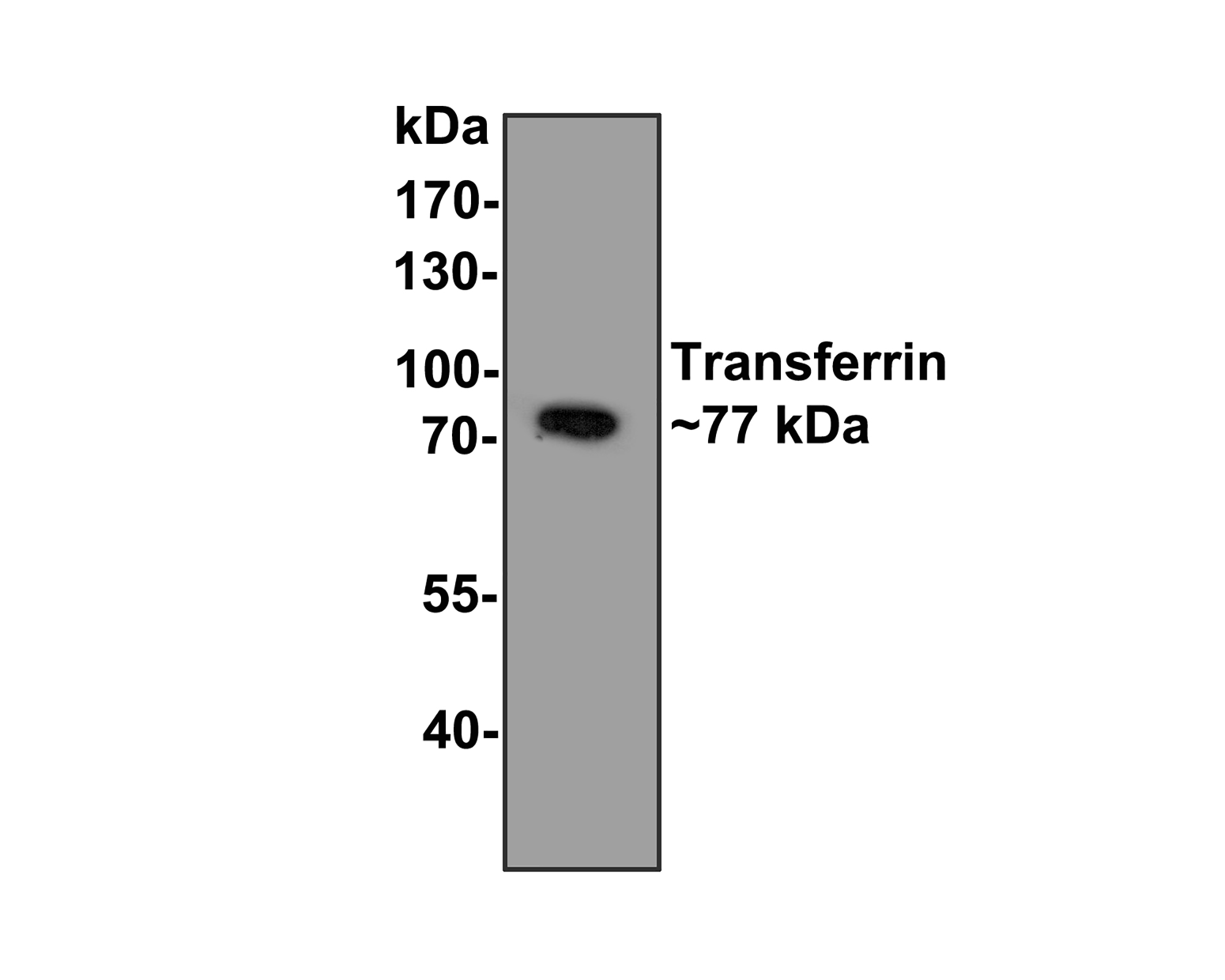 M1510-19_1.JPG