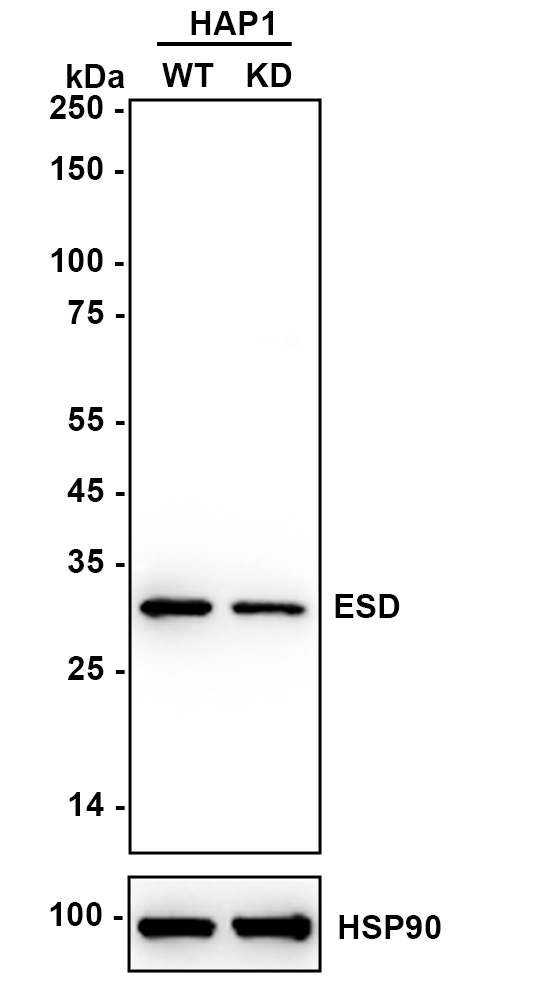 M1510-1_3.jpg