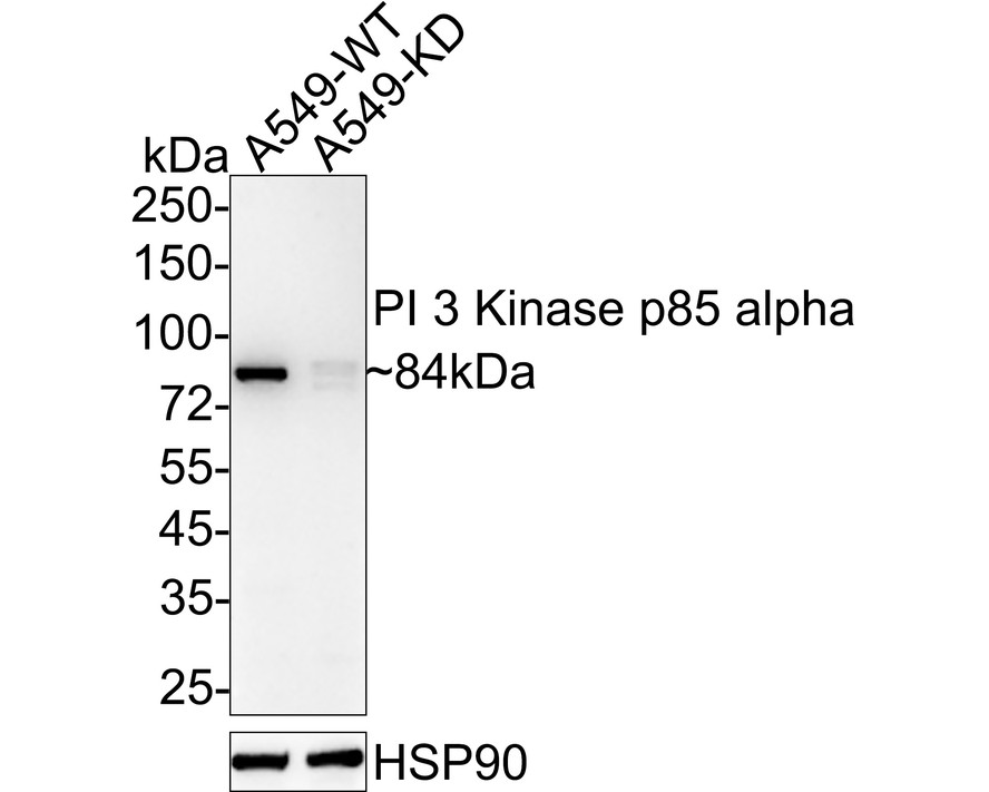 M1510-2_2.jpg